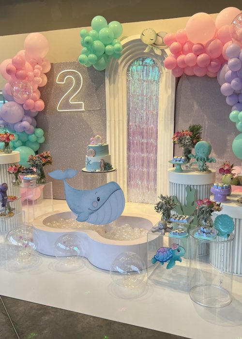 Aniversário infantil - 2 anos
