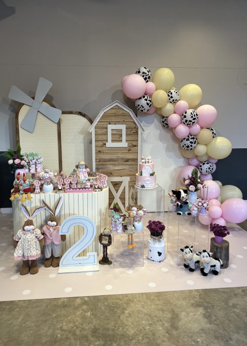 Aniversario 2 anos